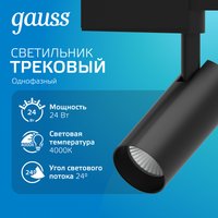 Трековый светильник Gauss TR071