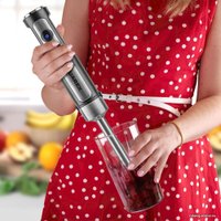 Погружной блендер Tuarex TK-4101 (стальной/черный)