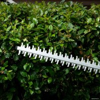 Кусторез Denzel RBC510-36 59410 (с 2-мя АКБ)