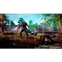  Ведьмак 3: Дикая Охота. Коллекционное издание для PlayStation 4