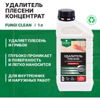 Средство для керамической плитки Prosept Fungi Clean Концентрат 1:1 (1 л)