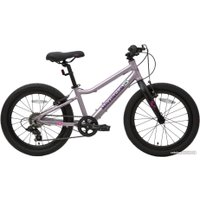 Детский велосипед Maxiscoo 5Bike 20 L 2024 (розовый сапфир)