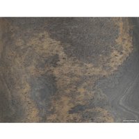 Бра Odeon Light Bergi 5064/1W