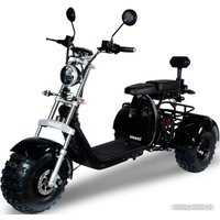 Электроскутер Minako Rex-T 3000w 40ah 001182 (черный) в Гомеле