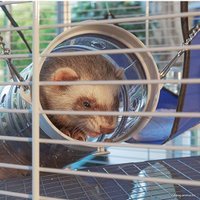 Клетка Ferplast Furet Tower 57063414