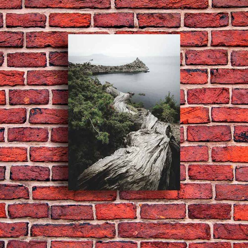 

Картина на стекле Stamprint Край земли NT015 (70x50)