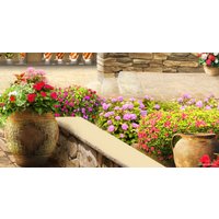 Фотообои ФабрикаФресок Фреска античная солнечная 671180 (180x100)