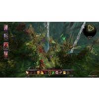  Divinity: Original Sin II. Definitive Edition для PlayStation 4