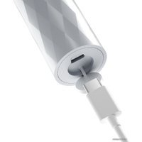 Ирригатор  Evolution WF-01 + Электрическая зубная щетка Enchen T501 (серый)