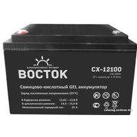 Аккумулятор для ИБП Восток СХ-12100 (12В/100 А·ч)