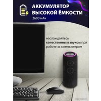 Беспроводная колонка Aiwa PAS-H200 (черный)