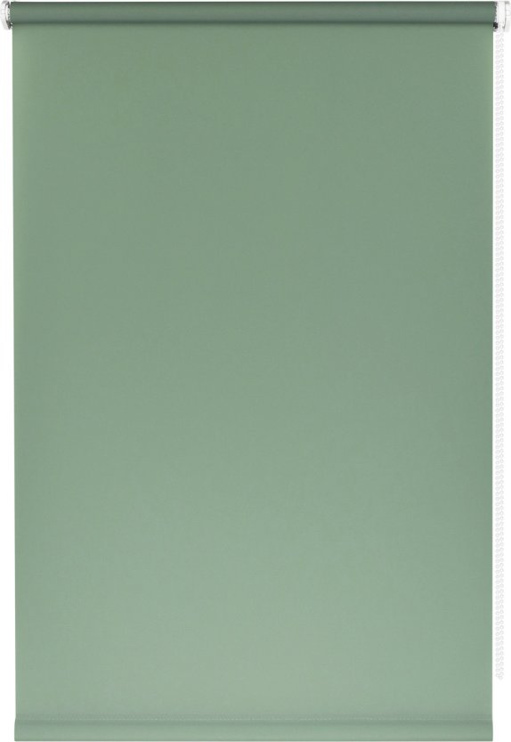 

Рулонные шторы Franc Gardiner Glasgow 40x160 9403219452 (оливковый)