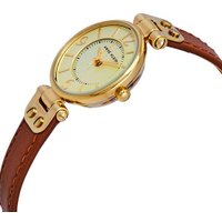 Наручные часы Anne Klein 10/9442CHHY