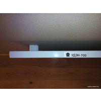 Инфракрасный обогреватель UDEN-S УДЭН-700