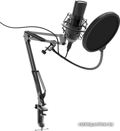 Проводной микрофон Ritmix RDM-180