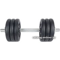 Гантель Central Sport N2 17 кг