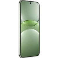 Телефон Huawei nova 13 BLK-LX9 12GB/512GB (дымчатый зеленый) в Борисове