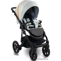 Универсальная коляска Bexa Ideal 2020 (2 в 1, 05)