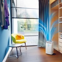 Осушитель воздуха Philips DE5305/11