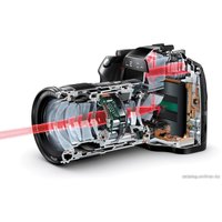 Зеркальный фотоаппарат Leica S (Typ 007) Body Black