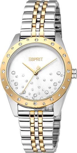 

Наручные часы Esprit ES1L405M0065