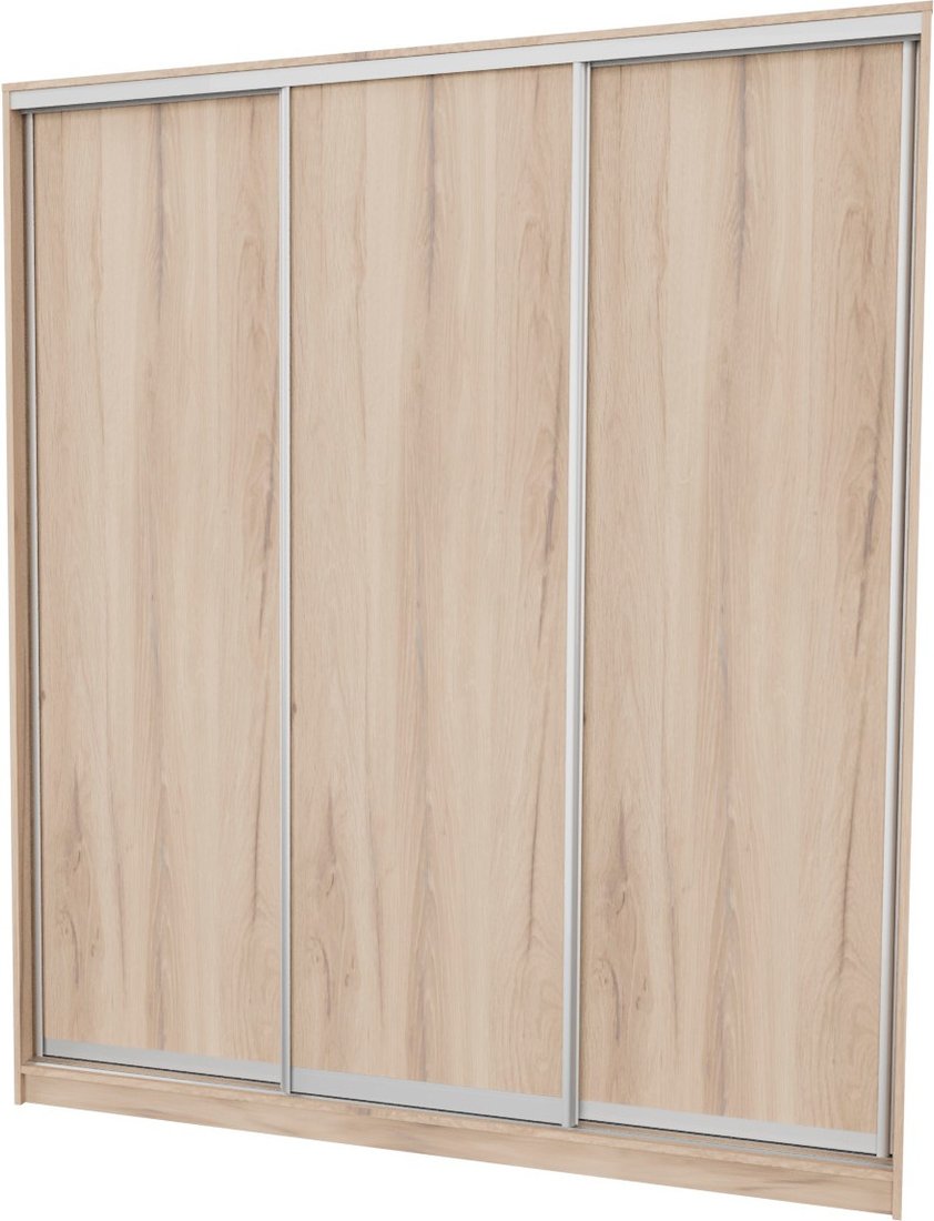 

Шкаф-купе Рэйгрупп 203 EEX Elgon РГ-02.03 (дуб элисон/дуб элисон/хром)