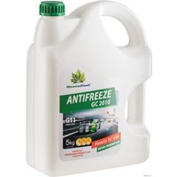 Антифриз GreenCool GC2010 5кг