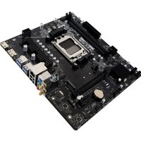 Материнская плата BIOSTAR B650MS2-E Ver. 6.0