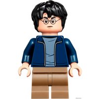 Конструктор LEGO Harry Potter 75947 Хижина Хагрида: спасение Клювокрыла