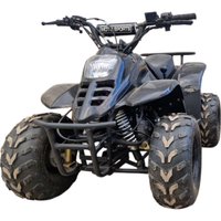 Квадроцикл ATV 124 Small (черный/синий) в Солигорске