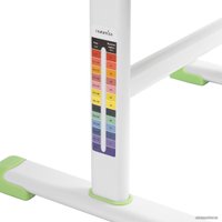 Парта Anatomica Avgusta + стул + выдвижной ящик + светильник + подставка (клен/зеленый)