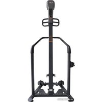 Лестница UltraGym UG-ST002