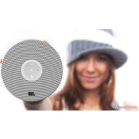 Беспроводная колонка JBL Voyager