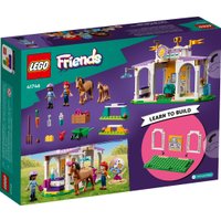 Конструктор LEGO Friends 41746 Тренировка лошадей