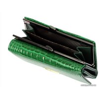 Кошелек Cedar 4U Cavaldi PX23-JMS (зеленый)