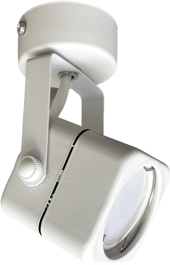 

Спот TruEnergy Focus 21346