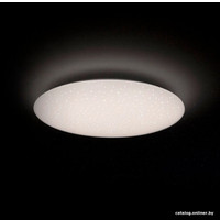 Светильник-тарелка Yeelight Ceiling Light A2001C450 YLXD032