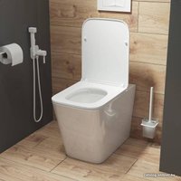 Унитаз приставной IDDIS Bild BILRDSEi26