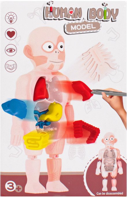 

Набор для опытов Darvish Human Body SR-T-3568