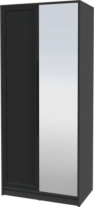 

Шкаф распашной Интерлиния Концепт Тренд КТ-Ш2(з) (антрацит/черный)