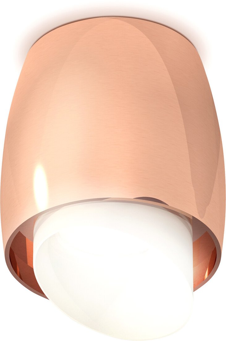 

Припотолочная люстра Ambrella light Techno spot XS1144021 PPG/FR