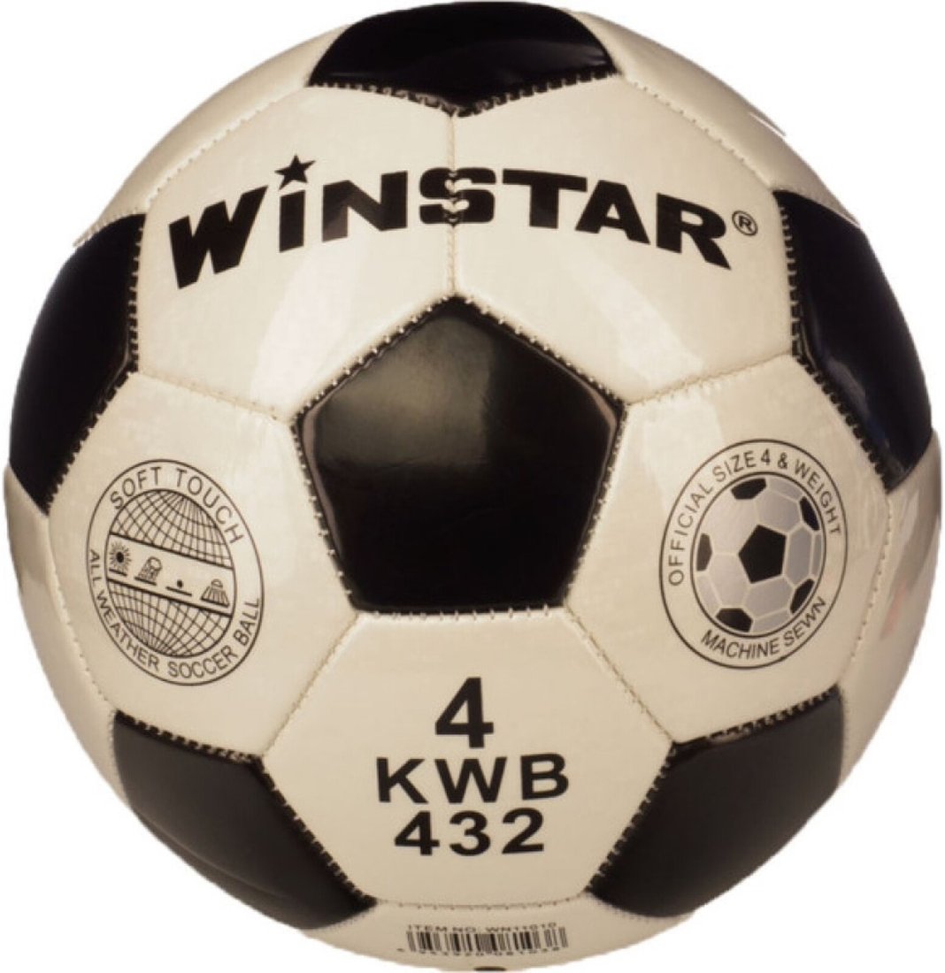 

Футбольный мяч Winstar WN11010 (4 размер)