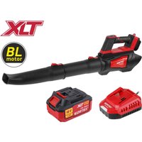 Садовая воздуходувка Wortex BB 1218-1 D XLT Set 2333193 (с 1-им АКБ) в Солигорске