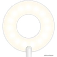 Настольная лампа Yeelight LED Charging Clamping Lamp YLTD10YL