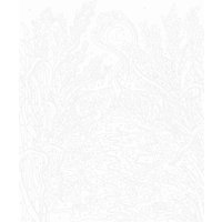 Картина по номерам Janod Hachette Удивительные птицы J07986