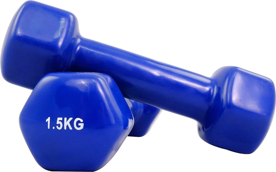 

Набор гантелей Protrain TA-2103-1.5 2x1.5 кг