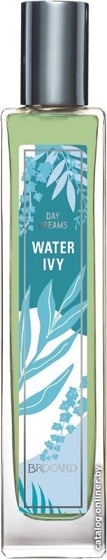 Туалетная вода Brocard Water Ivy EdT (55 мл)