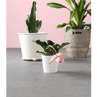 Кашпо Ikea Мускот 303.781.90 (белый)