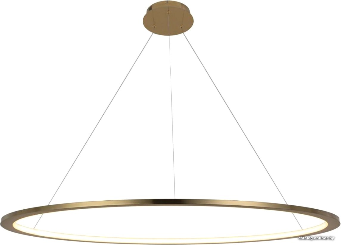 Подвесная люстра LOFT IT Ring 10014XXL