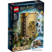 Конструктор LEGO Harry Potter 76384 Учеба в Хогвартсе: Урок травологии